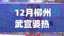 柳州武宣婆山歌新潮流，传统与现代的完美交融，热门山歌展现独特魅力