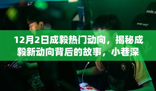 揭秘成毅最新动向与小巷神秘特色小店，12月2日热门焦点