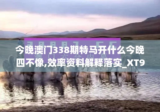 今晚澳门338期特马开什么今晚四不像,效率资料解释落实_XT91.201-5