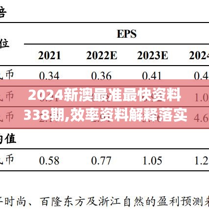 2024新澳最准最快资料338期,效率资料解释落实_复刻版92.365-4