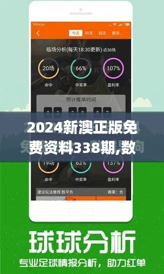 2024新澳正版免费资料338期,数据解读说明_专属款53.358-5