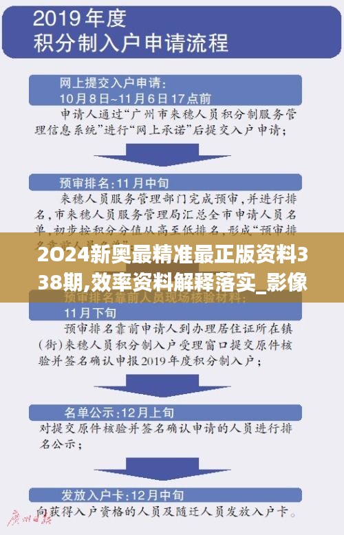 2O24新奥最精准最正版资料338期,效率资料解释落实_影像版99.422-1