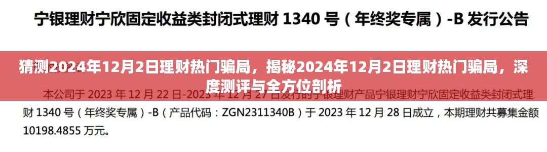 揭秘2024年理财热门骗局深度测评与全方位剖析，警惕未来投资风险！