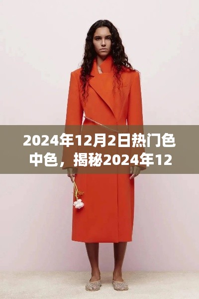 揭秘流行趋势下的色彩洞察，2024年12月2日热门色中色揭秘