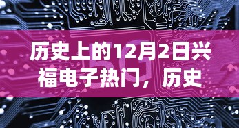 2024年12月4日 第36页