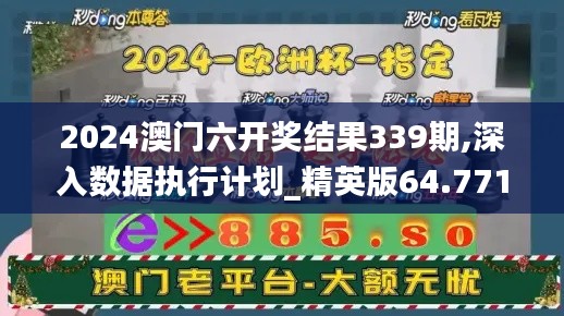 2024澳门六开奖结果339期,深入数据执行计划_精英版64.771-3