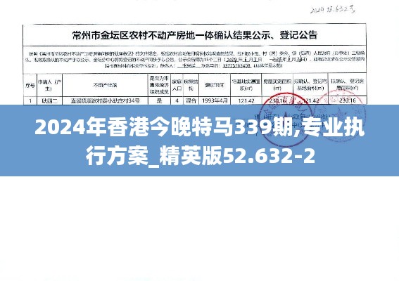 2024年香港今晚特马339期,专业执行方案_精英版52.632-2