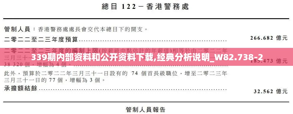 339期内部资料和公开资料下载,经典分析说明_W82.738-2