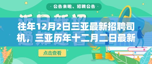 历年三亚司机招聘回顾，时代风采下的职业机遇与风采展现