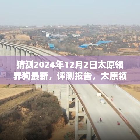 太原领养狗最新趋势展望，以2024年观察点解读评测报告