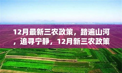 12月新三农政策下的田园心灵之旅，探寻宁静与乡村发展之路