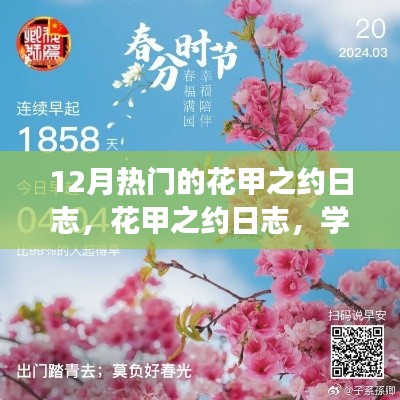 花甲之约日志，学习变化，自信成就，笑迎新篇章——12月热门日志回顾