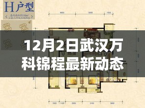 武汉万科锦程最新动态及评测报告揭秘（12月2日更新）