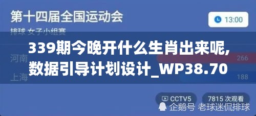 339期今晚开什么生肖出来呢,数据引导计划设计_WP38.707-9