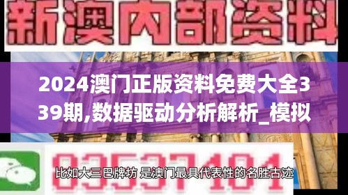 2024澳门正版资料免费大全339期,数据驱动分析解析_模拟版156.166-5