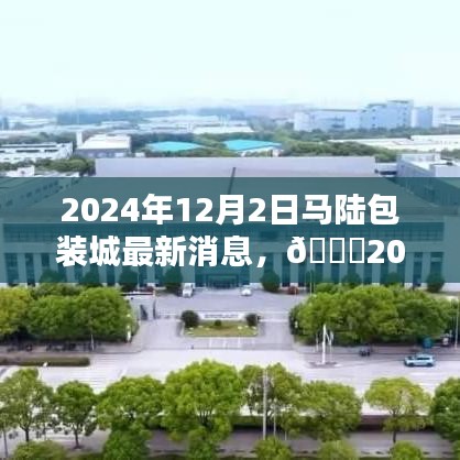 🌟2024年马陆包装城全新篇章开启，最新动态与消息🌟