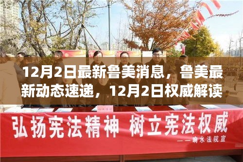 12月2日最新鲁美消息，鲁美最新动态速递，12月2日权威解读