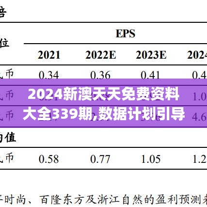 2024新澳天天免费资料大全339期,数据计划引导执行_增强版61.110-6