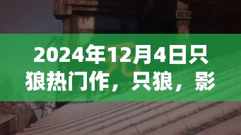 只狼，影逝二度——回首2024年的辉煌历程