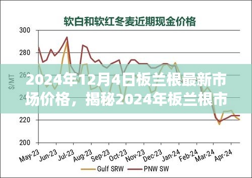 揭秘2024年板兰根市场最新动态与价格分析，市场动态与价格走势深度解读