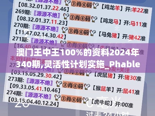 澳门王中王100%的资料2024年340期,灵活性计划实施_Phablet176.892-6