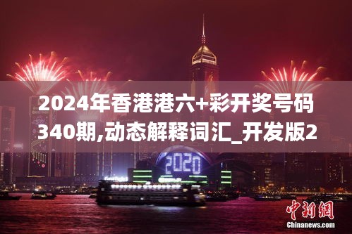 2024年香港港六+彩开奖号码340期,动态解释词汇_开发版25.934-3