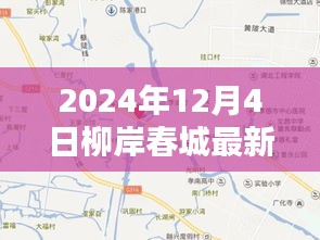 柳岸春城探秘，小巷深处的独特风味——最新动态揭晓（2024年12月4日）