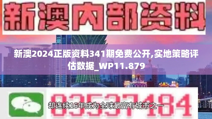 新澳2024正版资料341期免费公开,实地策略评估数据_WP11.879