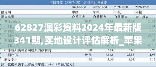 62827澳彩资料2024年最新版341期,实地设计评估解析_苹果4.688