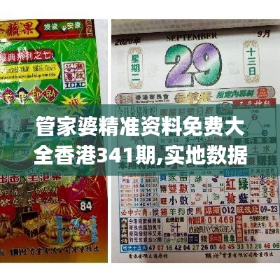 管家婆精准资料免费大全香港341期,实地数据执行分析_模拟版11.262