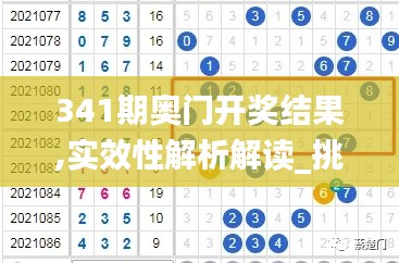 341期奥门开奖结果,实效性解析解读_挑战款19.358