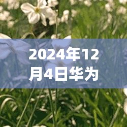 华为荣耀5C 5.0时代，学习变化，拥抱未来，无限可能等你来探！