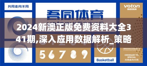 2024新澳正版免费资料大全341期,深入应用数据解析_策略版2.939