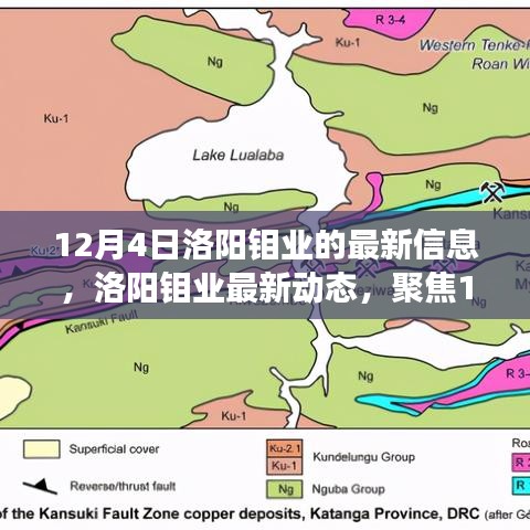 洛阳钼业最新动态及解读，聚焦12月4日关键信息