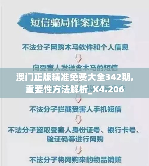 澳门正版精准免费大全342期,重要性方法解析_X4.206