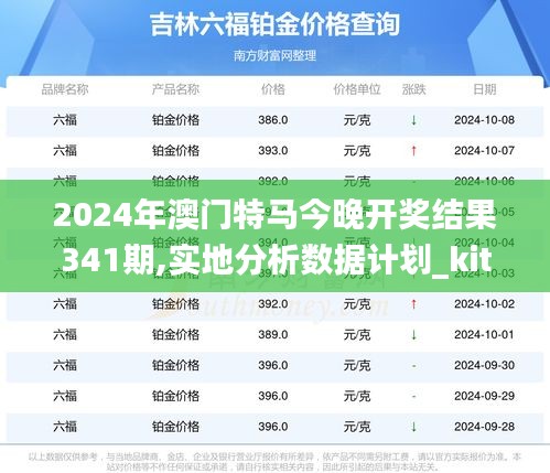 2024年澳门特马今晚开奖结果341期,实地分析数据计划_kit6.116