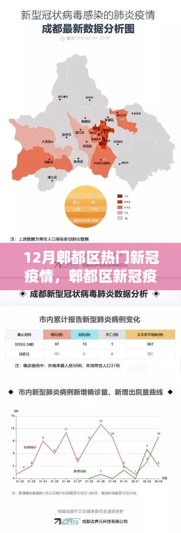 郫都区新冠疫情防控新利器，科技前沿产品深度解析与热门疫情动态