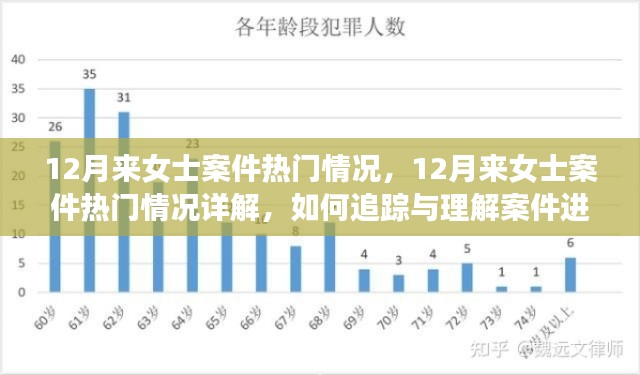 全方位解析，来女士案件最新进展与追踪指南