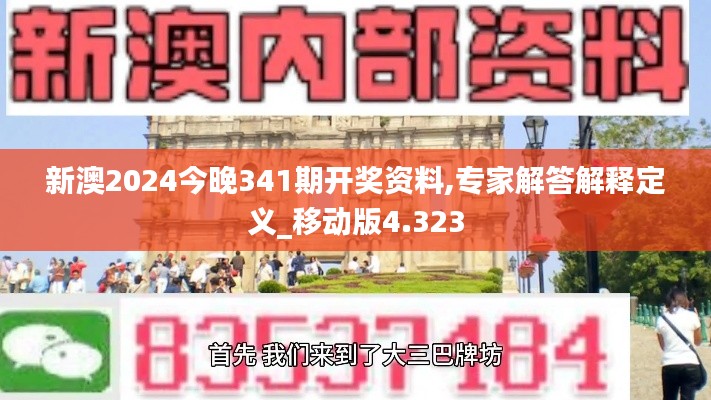 新澳2024今晚341期开奖资料,专家解答解释定义_移动版4.323