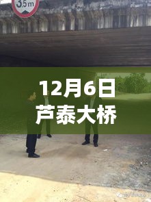 芦泰大桥建设进展全面解读，最新消息与获取指南（初学者到进阶用户适用）