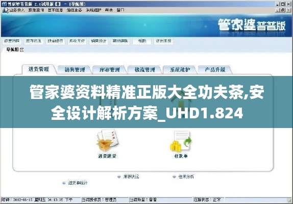 管家婆资料精准正版大全功夫茶,安全设计解析方案_UHD1.824