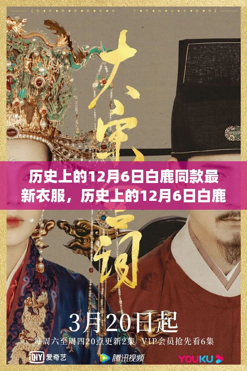 历史上的12月6日白鹿同款最新衣服，历史上的12月6日白鹿新衣启示录，变化中的自信与成就之光