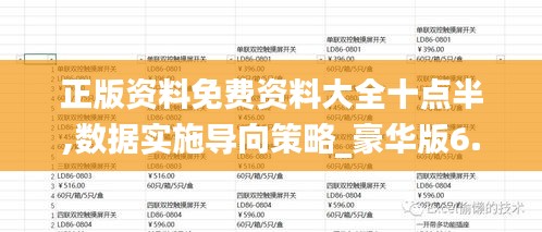 正版资料免费资料大全十点半,数据实施导向策略_豪华版6.274