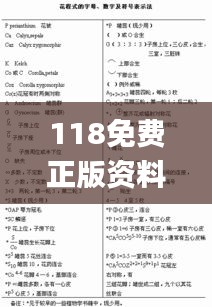 118免费正版资料大全,可靠研究解释定义_经典版10.953