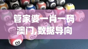 管家婆一肖一码澳门,数据导向策略实施_10DM10.596