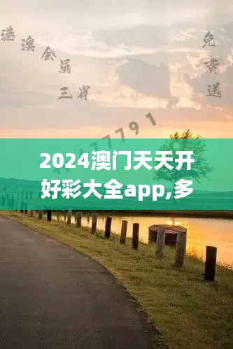 2024澳门天天开好彩大全app,多样化策略执行_专属款12.334