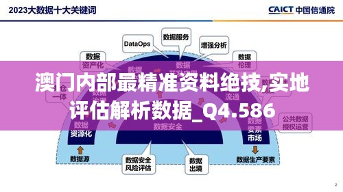 澳门内部最精准资料绝技,实地评估解析数据_Q4.586