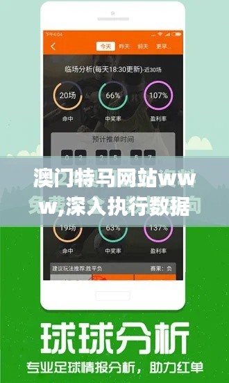 澳门特马网站www,深入执行数据应用_精装款5.261