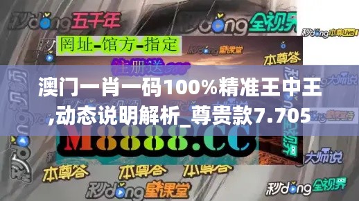 澳门一肖一码100%精准王中王,动态说明解析_尊贵款7.705