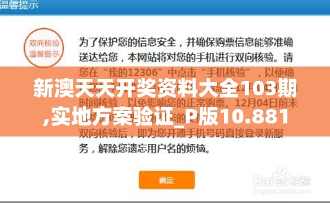 新澳天天开奖资料大全103期,实地方案验证_P版10.881